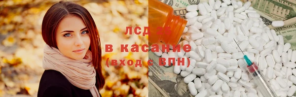 гашик Алексин