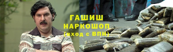 прущие грибы Алзамай