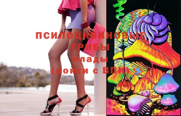 гашик Алексин