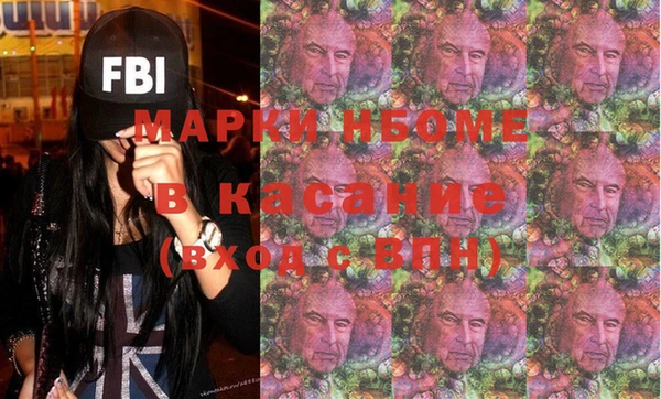 гашик Алексин