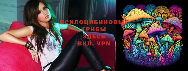 гашик Алексин