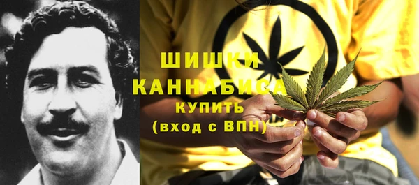 гашик Алексин